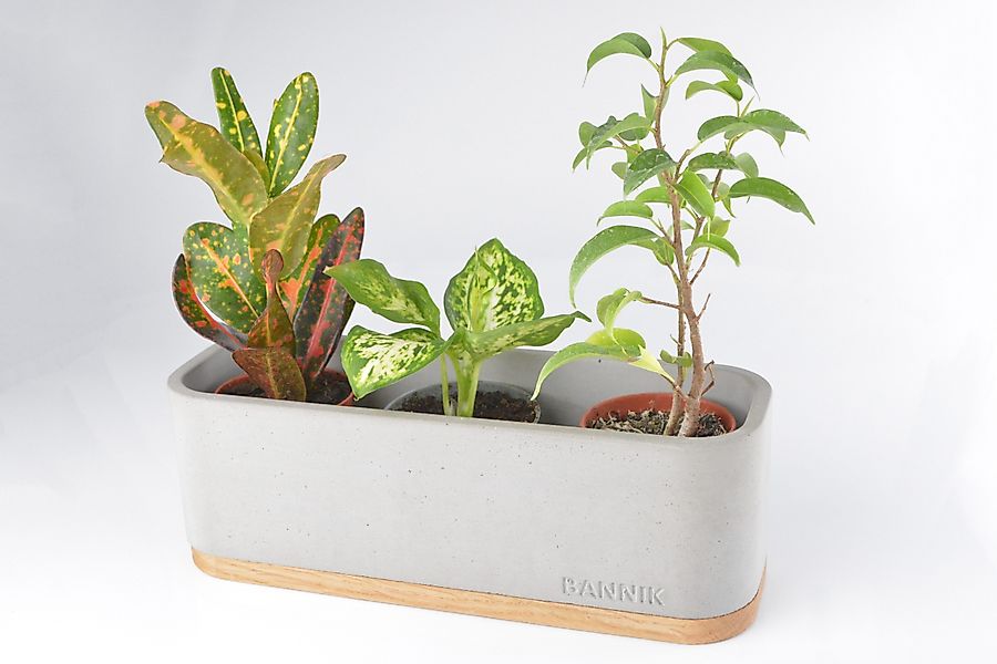 Bannik Blumentopf aus Beton und Holz - handgefertigt - Pflanztopf modern (1 günstig online kaufen
