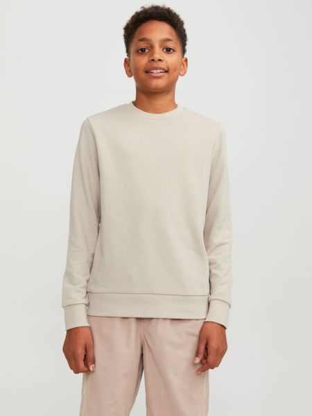 Jack & Jones Junior Sweatshirt JJEBRADLEY günstig online kaufen