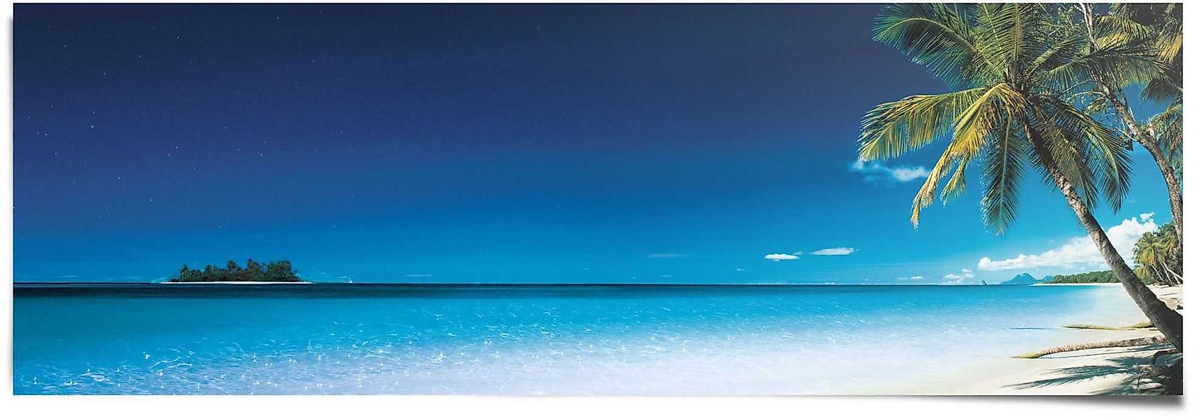 Reinders! Poster Palme am Strand, (1 günstig online kaufen