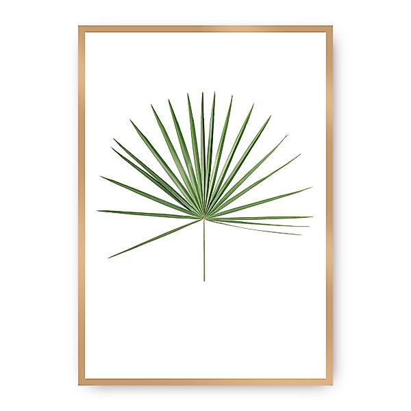 Poster Tropical Leaf Green, 50 x 70 cm, Rahmen wählen: gold günstig online kaufen