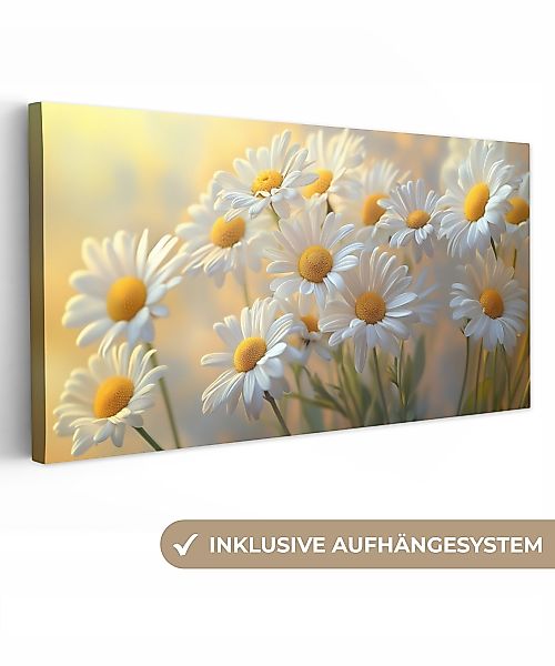 OneMillionCanvasses® Leinwandbild Panorama Gänseblümchen - Weiß günstig online kaufen
