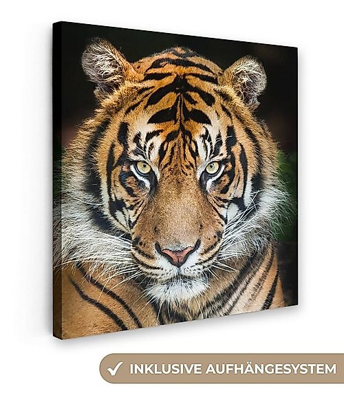 OneMillionCanvasses® Leinwandbild Tiger - Schwarz, Fotodruck (1 St), Wandbi günstig online kaufen