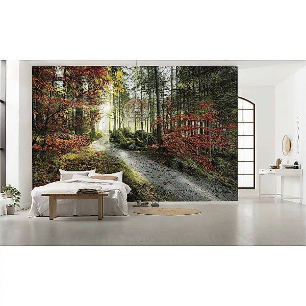KOMAR Vlies Fototapete - Feuerzungen - Größe 450 x 280 cm mehrfarbig günstig online kaufen