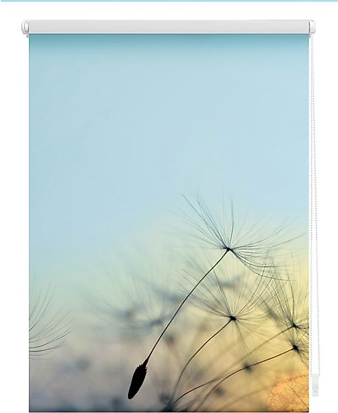 LICHTBLICK ORIGINAL Seitenzugrollo »Klemmfix Motiv Pusteblume«, Lichtschutz günstig online kaufen