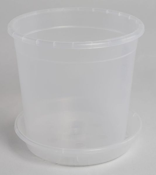 Geli Blumentopf Orchideentopf transparent mit passendem günstig online kaufen
