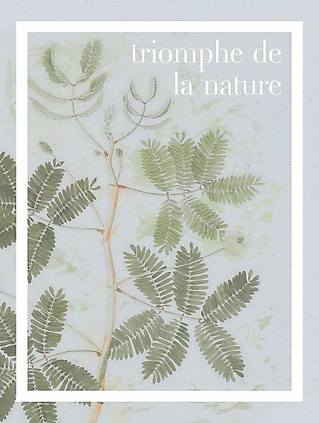 Komar Bild "PLANT ART Triomphe de la nature" Natur 1 Stk. tlg. Wandbild zur günstig online kaufen