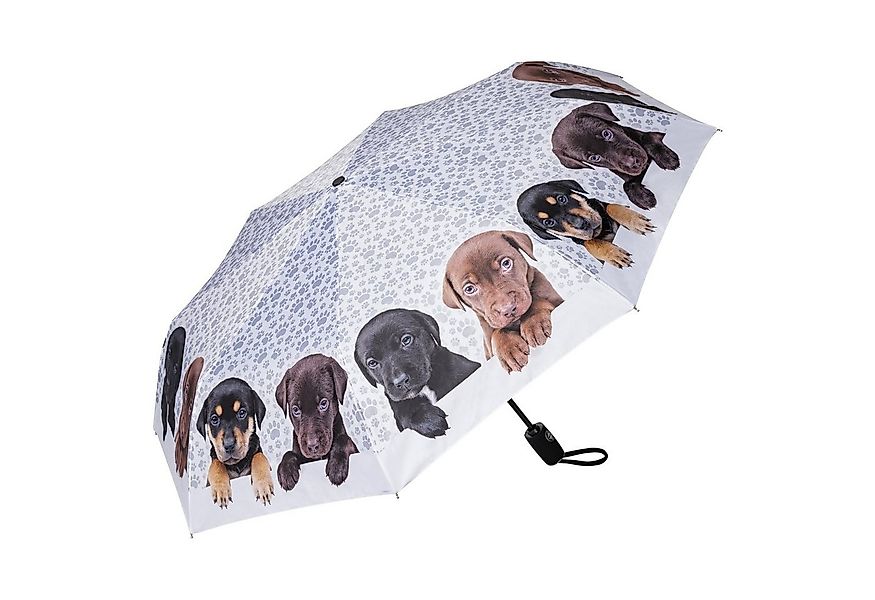 von Lilienfeld Taschenregenschirm Motivschirm Welpen Hunde Motiv Leicht Sta günstig online kaufen