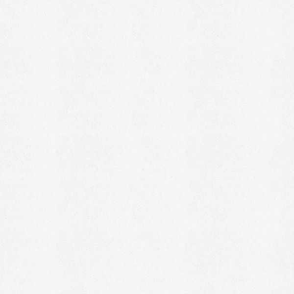Wall Doctor Isoliertapete »Wall Doctor Renovliestapete Weiss 25mx1m (180g/m günstig online kaufen