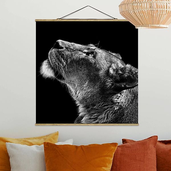 Stoffbild Tiere mit Posterleisten - Quadrat Portrait einer Löwin günstig online kaufen