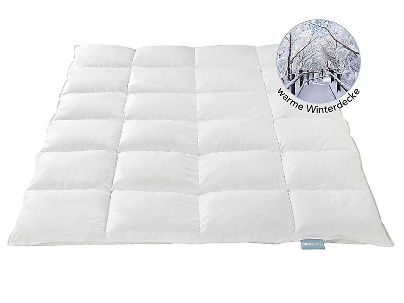 XDREAM Daunenbettdecke Nature Daunendecke, 135x200 cm günstig online kaufen