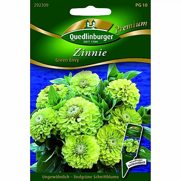 Quedlinburger Zinnien ''Green Envy'' günstig online kaufen