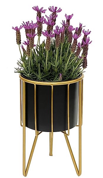 DanDiBo Blumenhocker mit Topf Metall Gold Schwarz Blumenständer Blumensäule günstig online kaufen