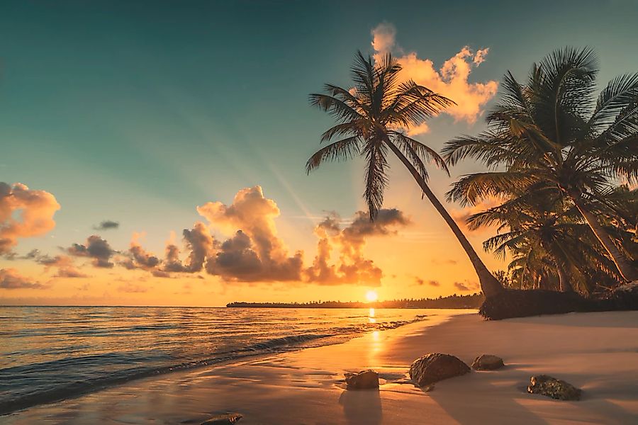 Papermoon Fototapete "PALMEN-STRAND-KARIBIK SÜDSEE MEER DÜNEN SONNE OZEAN X günstig online kaufen