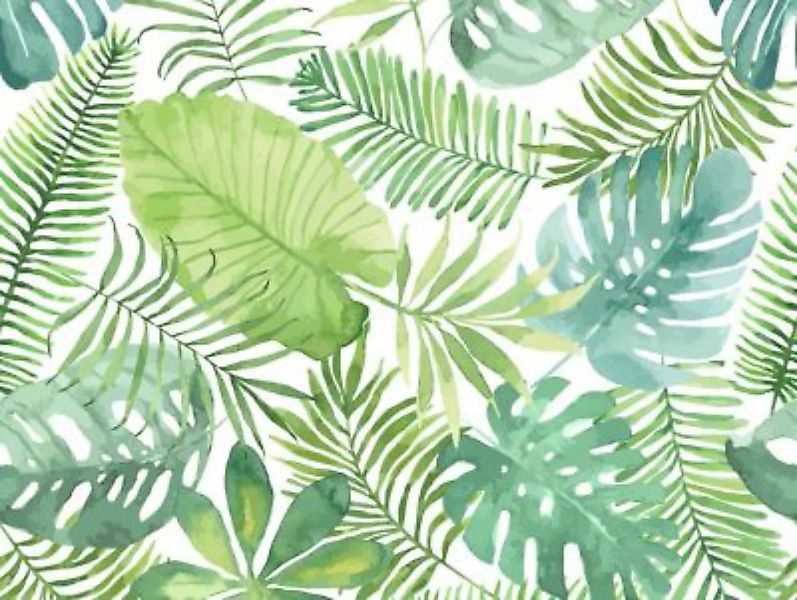 tischsetmacher Tischset Platzsets abwaschbar - Tropische grüne Palmenblätte günstig online kaufen