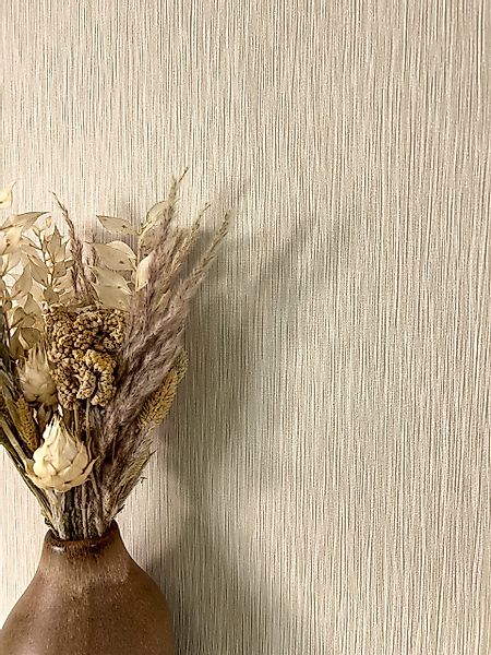 Newroom Vliestapete, Beige Tapete Modern Unifarbe günstig online kaufen