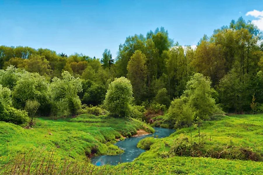 Papermoon Fototapete »FLUSS IM WALD-BAUM NATUR DSCHUNGEL SONNE WEG WASSERFA günstig online kaufen