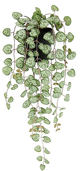 Kunstpflanze Kunstpflanze Leuchterblume Hängende Pflanzen künstlich, günstig online kaufen