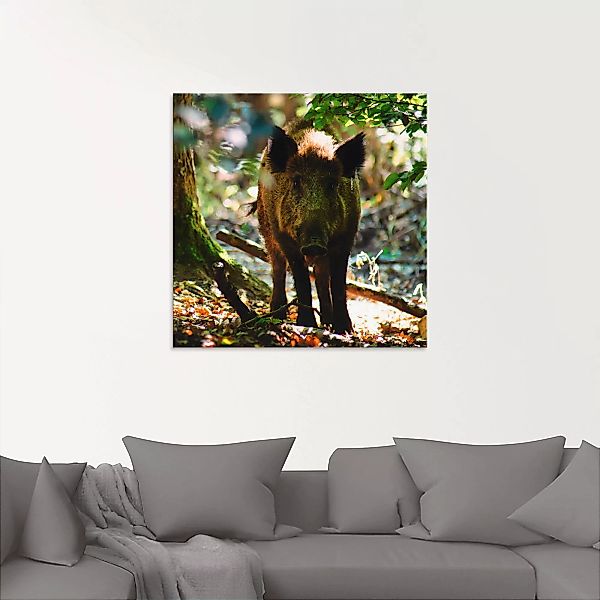 Artland Glasbild "Wildschwein", Wildtiere, (1 St.) günstig online kaufen