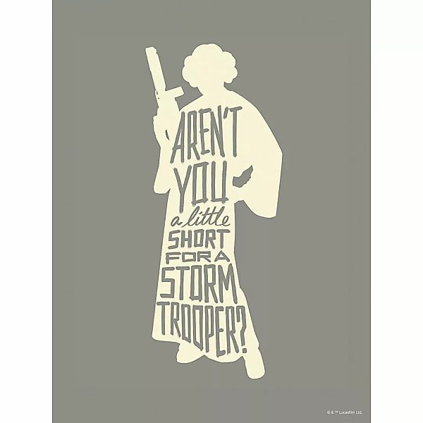 Disney Poster Leia Quotes Grau 30 x 40 cm 612162 günstig online kaufen