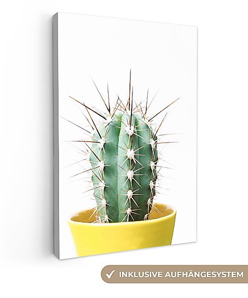 OneMillionCanvasses® Leinwandbild Kaktus - Pflanzen - günstig online kaufen