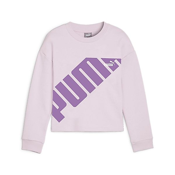PUMA Kapuzensweatshirt POWER CREW TR G günstig online kaufen