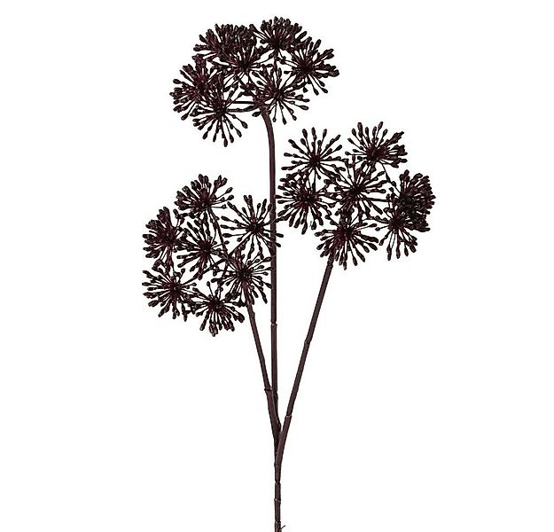 Kunstzweig Boltze Dekozweig Bärenklau, Dunkelbraun, 2069845, BOLTZE GRUPPE günstig online kaufen