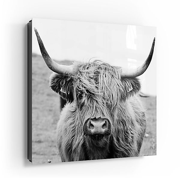 DEQORI Schlüsselkasten 'Zotteliges Hochlandrind', Glas Schlüsselbox günstig online kaufen