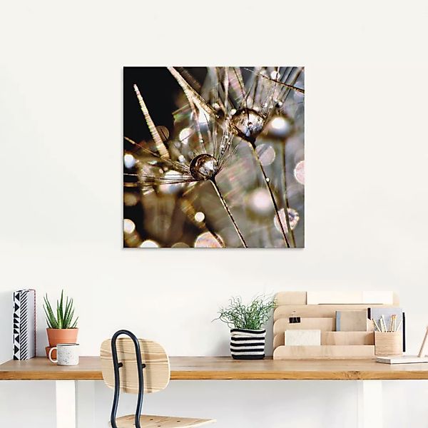 Artland Glasbild "Pusteblume mit Wasserperlen", Blumen, (1 St.), in verschi günstig online kaufen