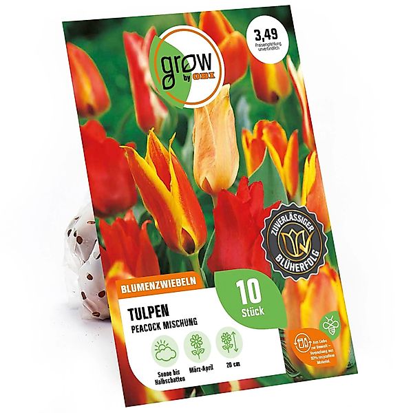 GROW by OBI Tulpen Peacock Mischung 8 Stück Tulipa peacock Mixed günstig online kaufen