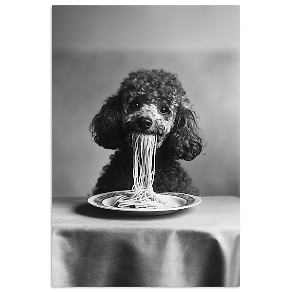 MuchoWow Poster Pudel - Hund - günstig online kaufen