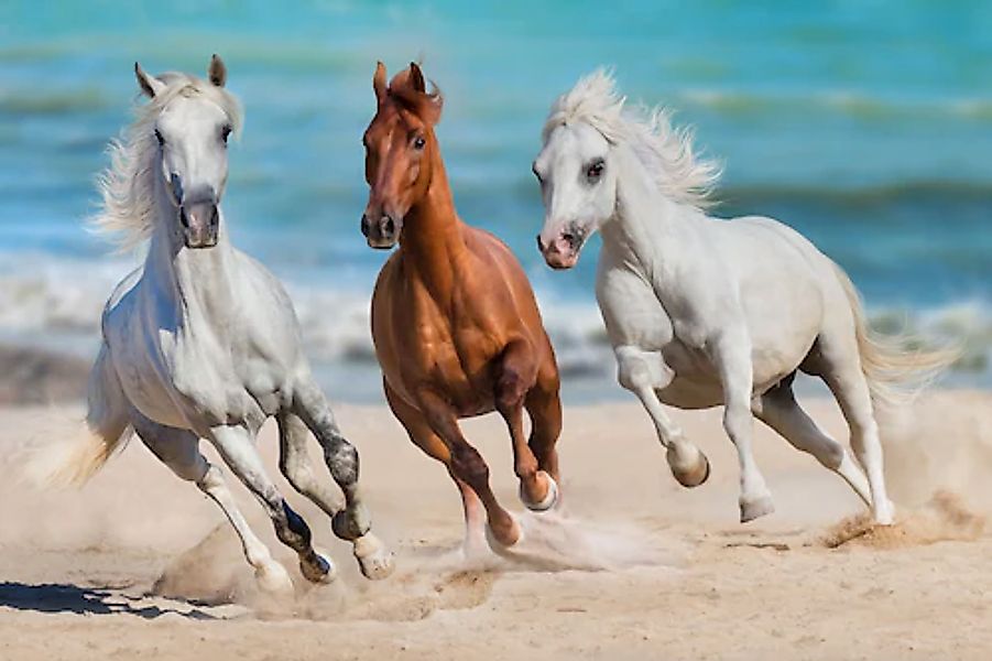 Papermoon Fototapete »Horse Herd Run Gallop« günstig online kaufen