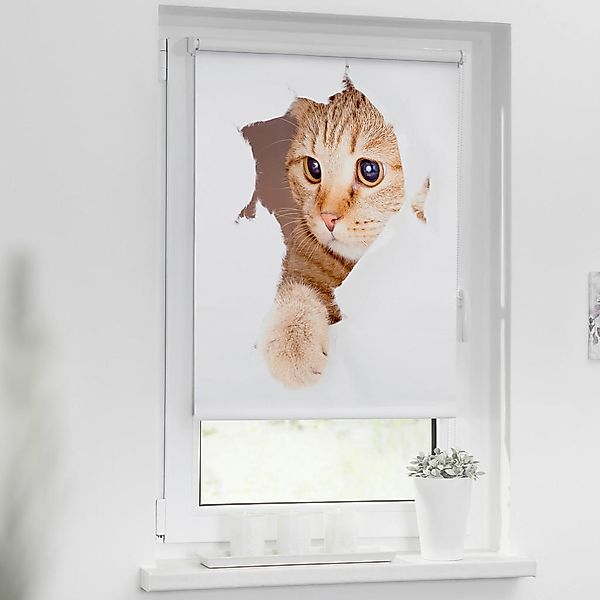 Verdunkelungsrollo Katze weiß B/L: ca. 45x150 cm günstig online kaufen