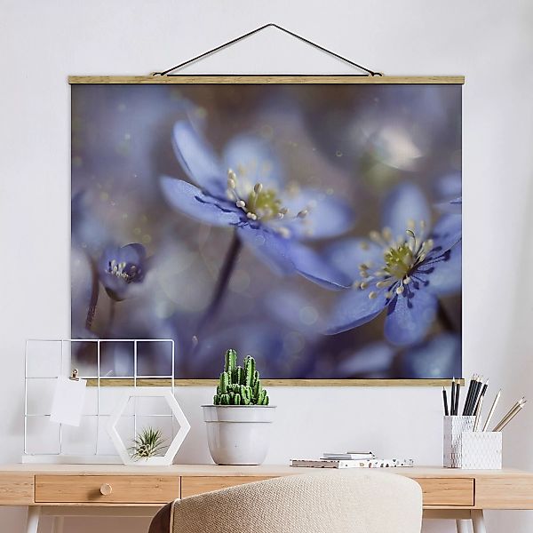 Stoffbild Blumen mit Posterleisten - Querformat Anemonen in Blau günstig online kaufen