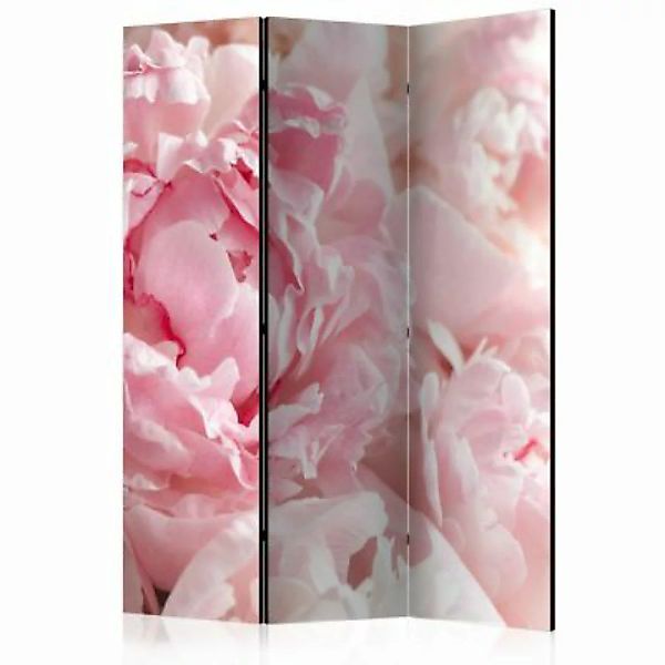 artgeist Paravent Sweet Peonies [Room Dividers] rosa Gr. 135 x 172 günstig online kaufen
