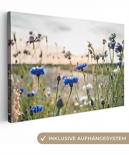 OneMillionCanvasses® Leinwandbild Blumen - Sommer - günstig online kaufen