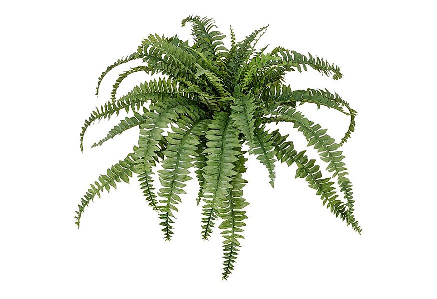 Kunstpflanze Bostonfarn ohne Topf, Creativ green, Höhe 80 cm, mit zahlreich günstig online kaufen