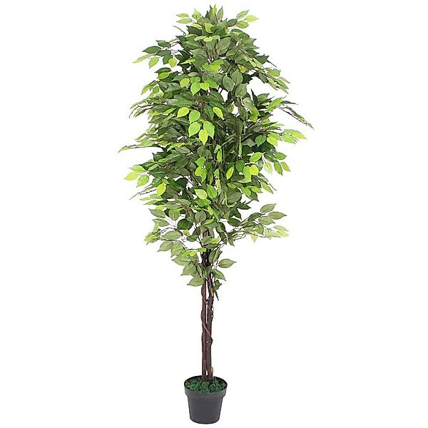 Kunstbaum Ficus Kunstpflanze Künstliche Pflanze mit günstig online kaufen