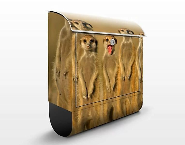 Briefkasten Tiere Meerkat Family günstig online kaufen