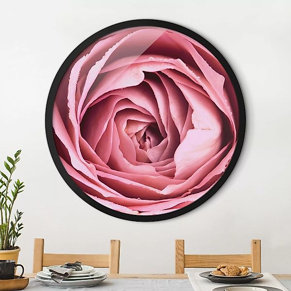 Rundes Gerahmtes Bild Rosa Rosenblüte günstig online kaufen