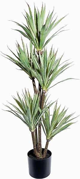 Künstliche Zimmerpflanze Agave Sukkulente, Creativ green, günstig online kaufen