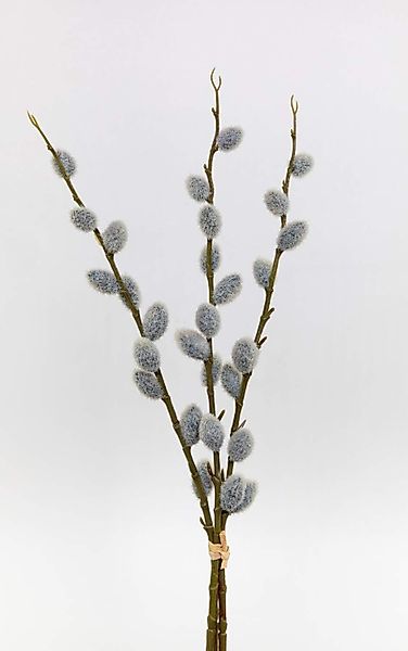 Kunstblume 3er-Bund Weidenkätzchen Nature 46cm FT günstig online kaufen