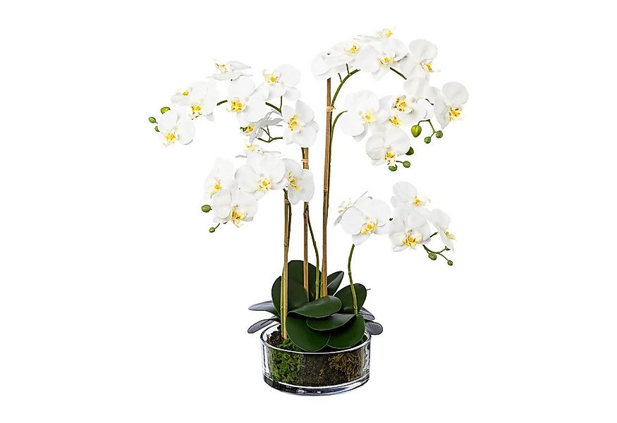 Kunstorchidee Kunstblume Phalaenopsis ca. 60cm. Orchidee im Glastopf. Weiß, günstig online kaufen