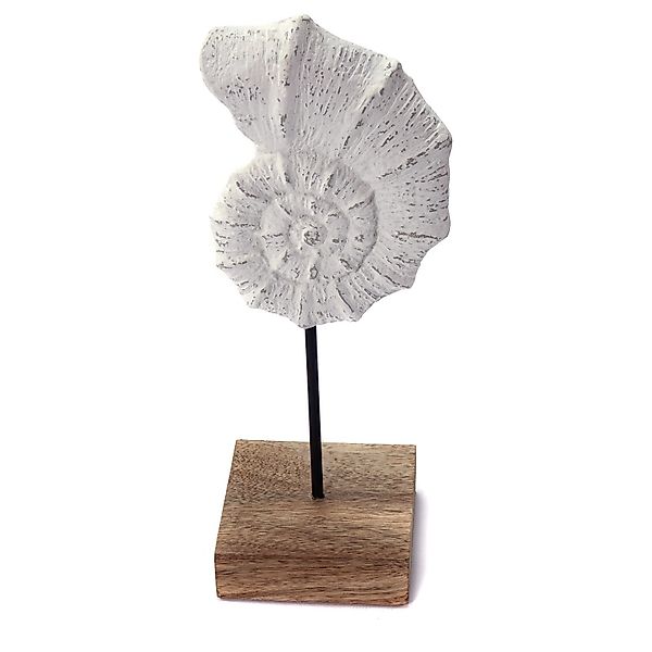 CREEDWOOD Skulptur MUSCHEL SKULPTUR "SHELL 31", günstig online kaufen
