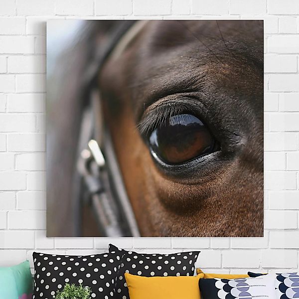 Leinwandbild Tiere - Quadrat Horse Eye No.3 günstig online kaufen