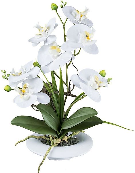 Kunstorchidee Orchidee Phalaenopsis, Creativ green, Höhe 41 cm, in außergew günstig online kaufen