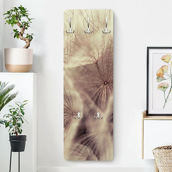 Wandgarderobe Holzpaneel Blumen Detailreiche Pusteblumen Makroaufnahme mit günstig online kaufen