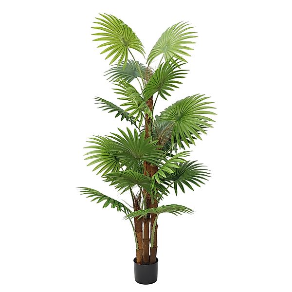 Kunstpflanze Künstliche Palme 160 cm im günstig online kaufen