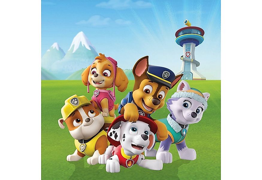 Bönninghoff Leinwandbild Paw Patrol, Filmfiguren (1 St), BxH: 35x35 cm günstig online kaufen