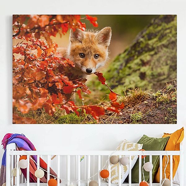 Leinwandbild Tiere - Querformat Fuchs im Herbst günstig online kaufen