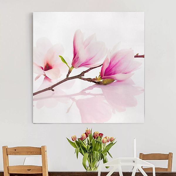 Leinwandbild Blumen - Quadrat Zarter Magnolienzweig günstig online kaufen